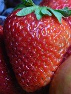 large ripe strawberry