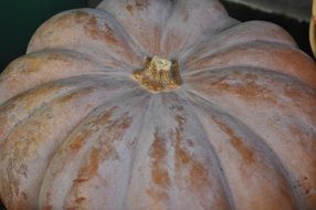 old pumpkin