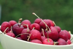 pink sweet cherry in a white bowl