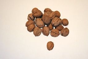 walnuts closeup