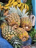 pineapple in ecuador cuenca market exotic fruits