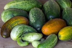 overripe large green cucumbers