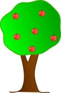 apple tree with red apples vector drawing
