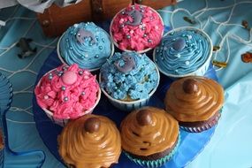 cupcakes with different icing