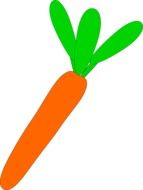 drawn orange carrot