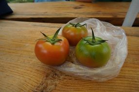 green tomatoes in a plastic bag