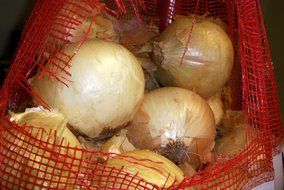 yellow onions in a red grid