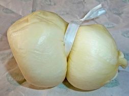 cheese cuisine