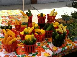 farmer squash in the market