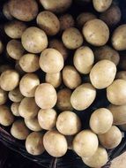 young round potatoes