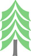 pine tree as a drawing