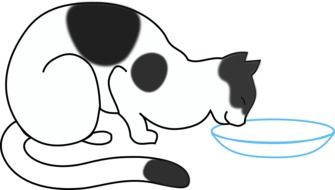 cat drinking milk as a drawing