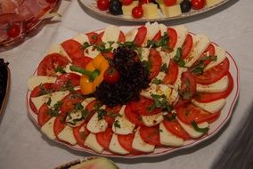 Colorful Caprese salad with mozarella, tomatoes and basil