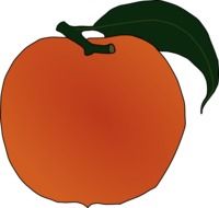 Ripe juicy fresh organic orange peach clipart