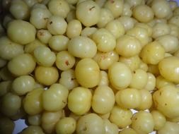 Sour Indian gooseberry