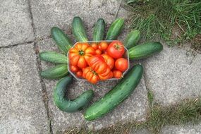 fresh cucumbers and tomatoes on pavement