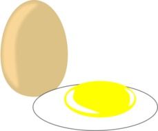egg and fired egg
