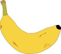 a drawing of a yellow banana fruit