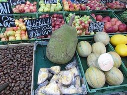 tropical fruits on the market