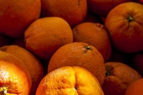 ripe oranges