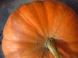 top of big pumpkin
