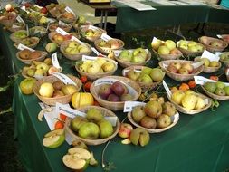 horticultural products, various fresh apples in bowls on table