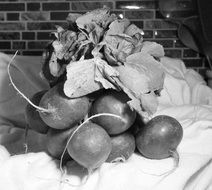 bunch of radish in black and white image