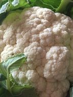 White and green cauliflower