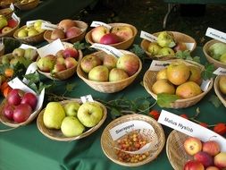 fruit in wicker bowls at a farmers market