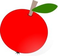 Red organic apple clipart
