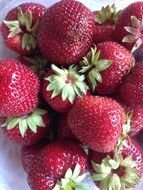 appetizing strawberries summer sweet