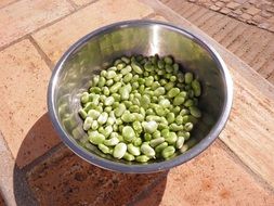 fresh healthy green beans in a plate