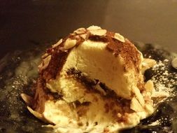 appetizing dessert tiramisu
