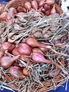 delicious red onions in a wicker basket