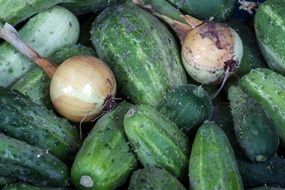 cucumbers and onion