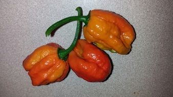 peppers hot vegetable