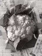 cauliflower vegetables black and white closeup