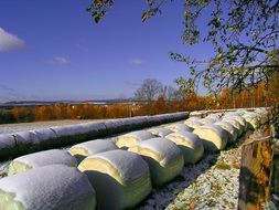haystacks over snow