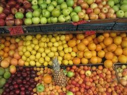 many varied fruits on the market