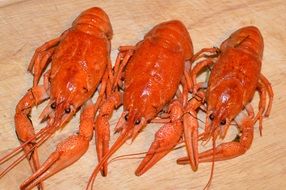 three boiled lobsters