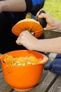 cleaning the pumpkin for halloween