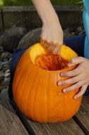 scooping out the pumpkin