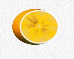 drawing of an orange citrus fruit