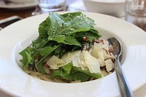 cheese and pasta with greenery on plate