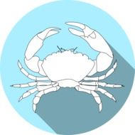 drawing of a crab in the blue circle