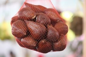 salak in the grid bag