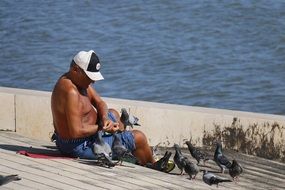 guy and pigeons