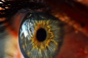 human eye close up view