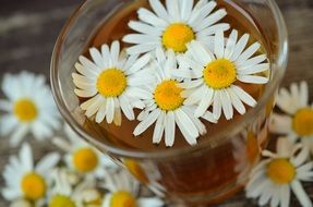 chamomile healing-herbal tea topped with flowers