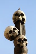 three skulls which is hanging on a pillar